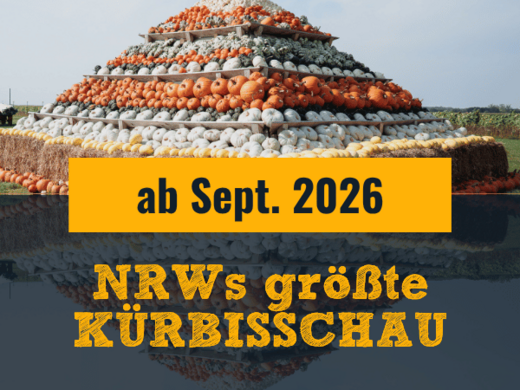 Autumn Short Break in the National Park | Gemünder Ferienpark Pumpkin pyramid advertising the show from September 2026 at Krewelshof Eifel
