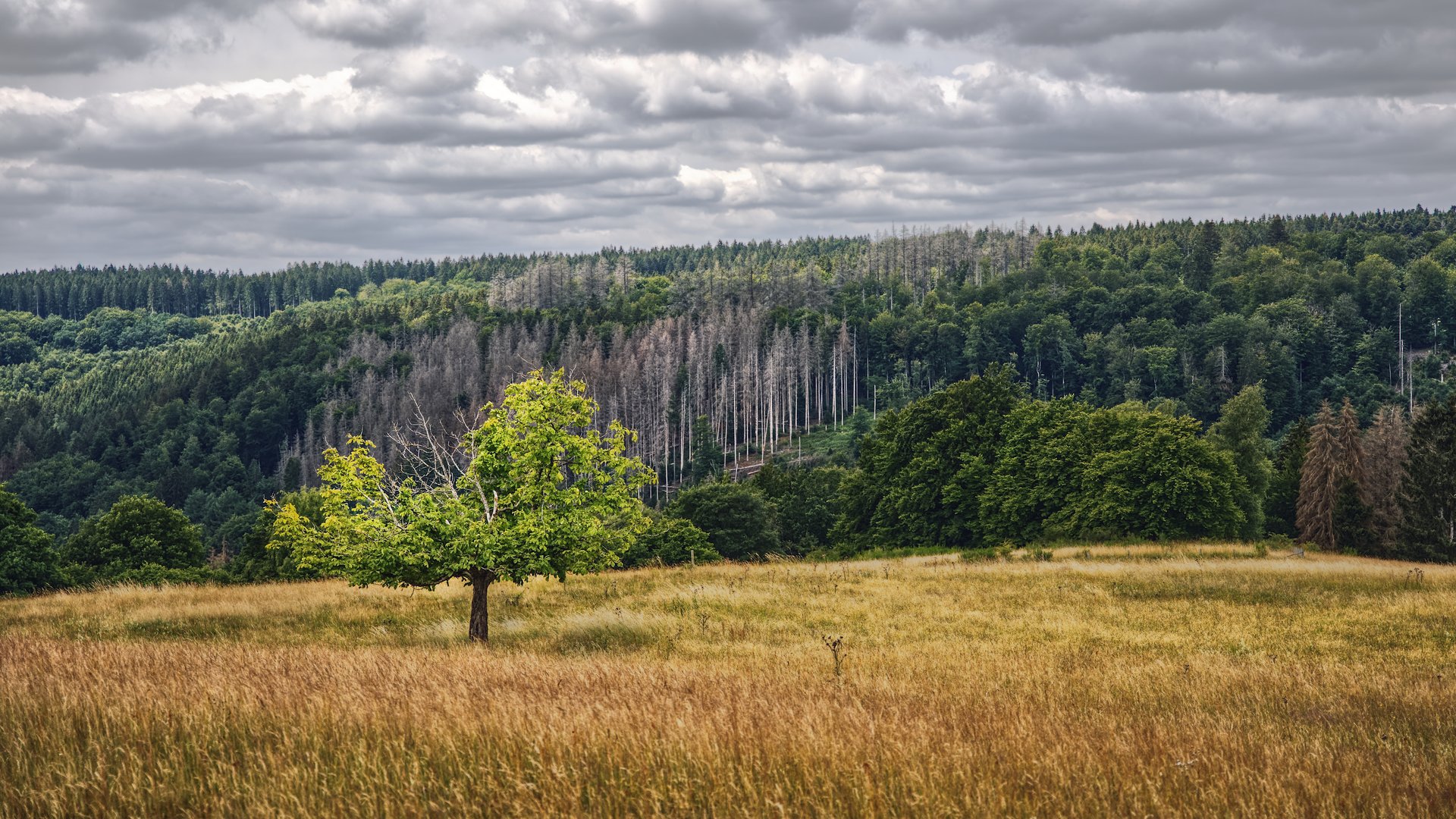 Herbst und Winterzauber in der Eifel genießen Herbst und Winterzauber in der Eifel genießen