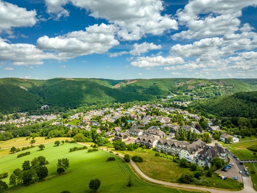 Alle aktuellen Angebote, Specials und Raten im Gemünder Ferienpark Salzberg – perfekt für euren Urlaub im Nationalpark Eifel. Luftaufnahme eines Dorfes umgeben von grünen Wäldern und Feldern unter blauem Himmel