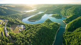 Ihre Unterkunft in Gemünd – Eifel-Urlaub voller Freiheit Luftaufnahme eines bewaldeten Flusstals mit einem Stausee und Gebäuden am linken Ufer
