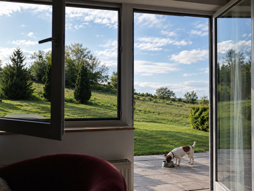 Ihre Unterkunft in der Eifel – Urlaub mit Hund Blick durch offene Fenster auf eine grüne Wiese mit Hund auf der Terrasse
