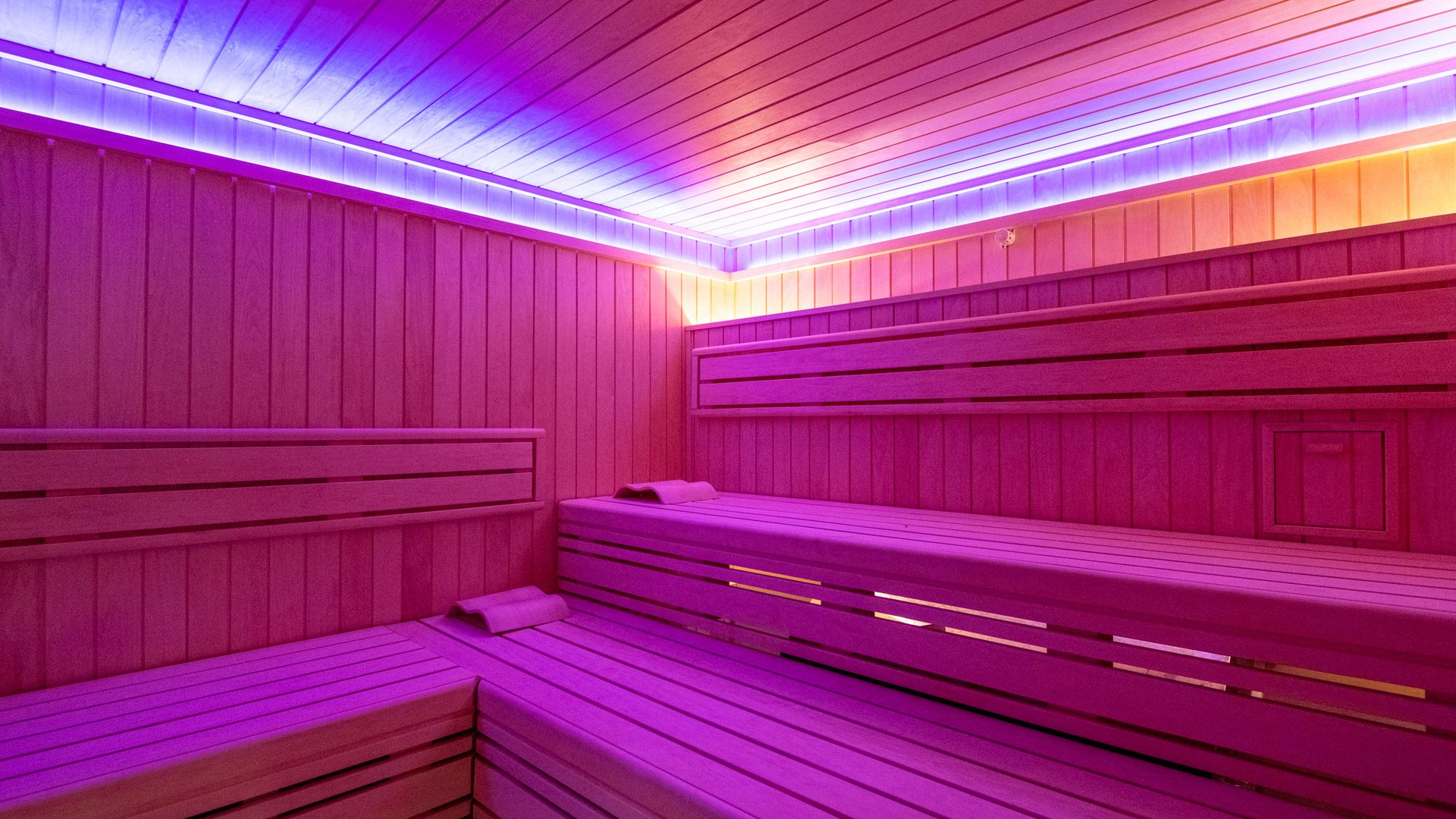 Urlaub in der Eifel mit Hund? Aber natürlich! Sauna mit modernen LED-Lichtern und Holzbänken