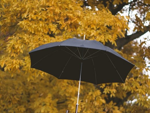 Herbst und Winterzauber in der Eifel genießen Schwarzer Regenschirm vor gelben Herbstblättern