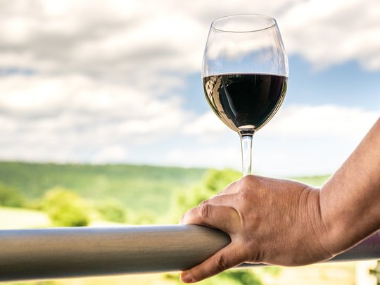 Wohnung mieten in Gemünd? Da haben wir was für Sie! Hand hält Weinglas mit Rotwein auf einem Metallgeländer bei Tageslicht