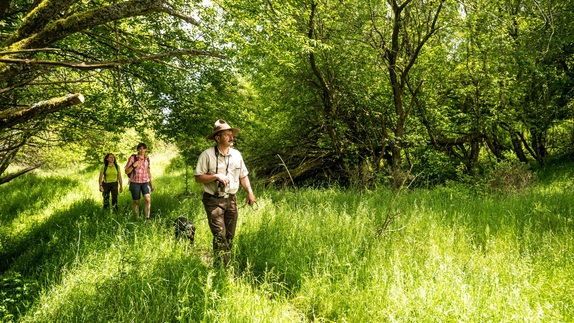 Von der Ferienwohnung Schleiden-Gemünd in den Nationalpark