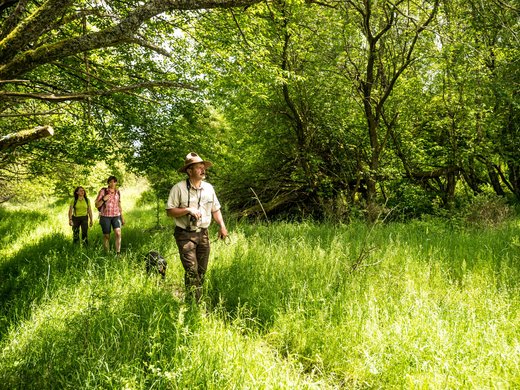 Holiday in the Eifel region with kids: action guaranteed Hikers with dog and guide walking along a sunny forest path with green grass.