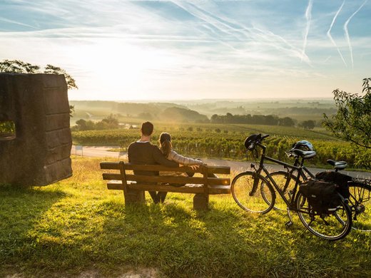 A holiday apartment in the Eifel region with a sauna and gym Couple sitting on bench with bikes overlooking sunny vineyard landscape